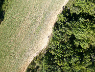 #7: Looking down on the point from a height of 50m