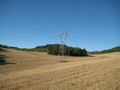 #2: Pylon near the CP - Le champ de blé moissonné et son pylone ERDF
