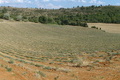 Visit #9: [25-Aug-11]