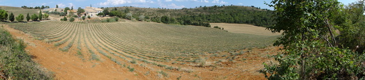 #1: Panoramic view shot at N44°00'07'' E6°00'72'' looking east