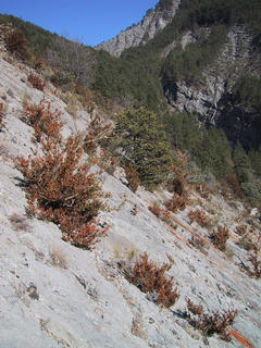 #1: Arriving to the confluence, looking north east