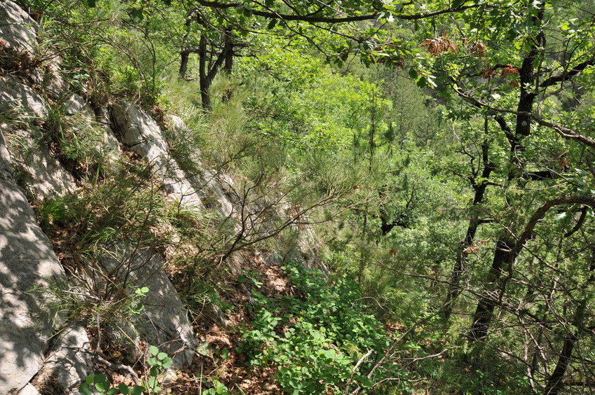 View to the point / Blick zum Confluence Punkt