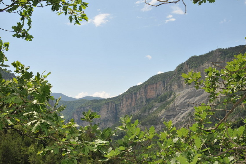 View south / Blick nach Süden