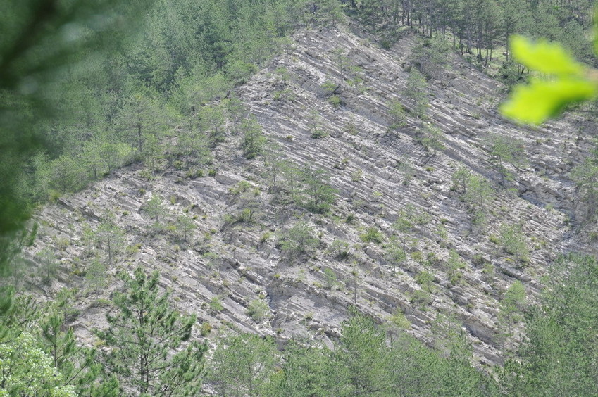 View east / Blick nach Osten