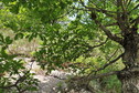 #2: View north / Blick nach Norden