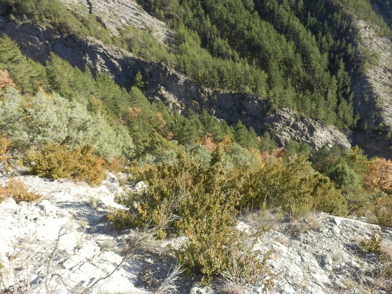 The Confluence from 15 m above