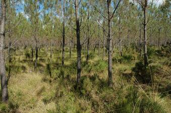 #1: General area of the confluence