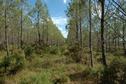 #4: Looking south from the confluence