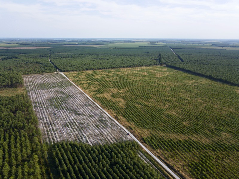 View South, from 100 m above the point