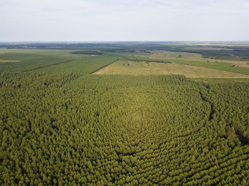 View East, from 100 m above the point