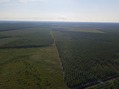 #11: View West, from 100 m above the point