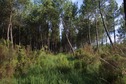#3: View South