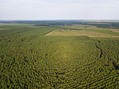 #9: View East, from 100 m above the point