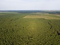 #9: View East, from 100 m above the point