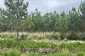44°N 1°W preview image