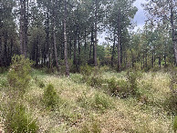 #4: View to the south