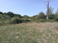 #4: View West