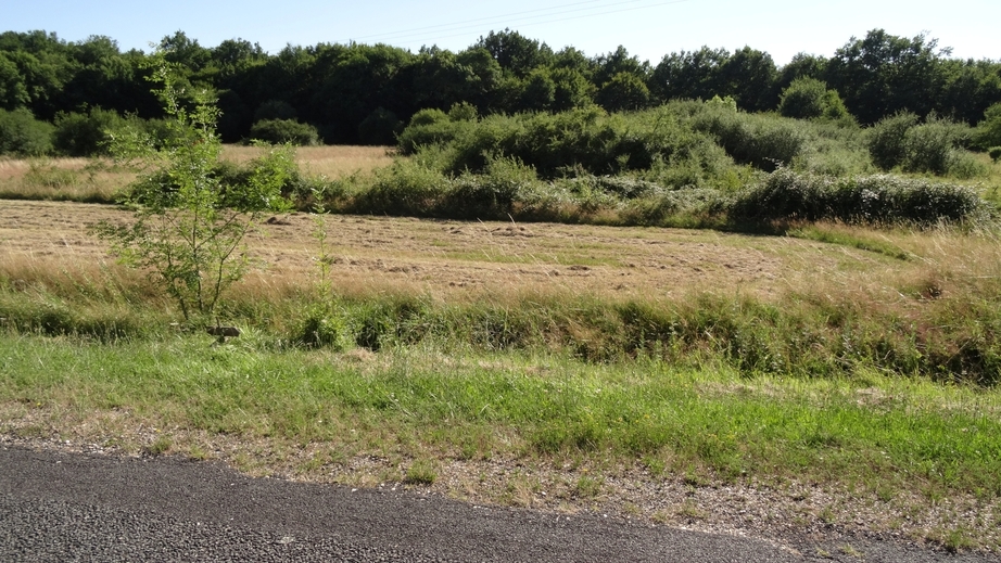 View of the CP location with sign at a distance of 13 m