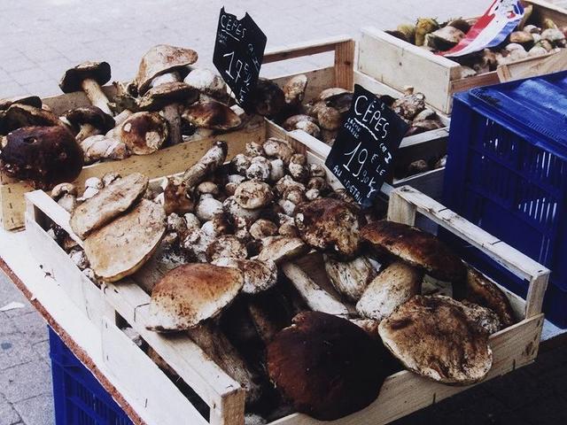 Mushrooms at the market