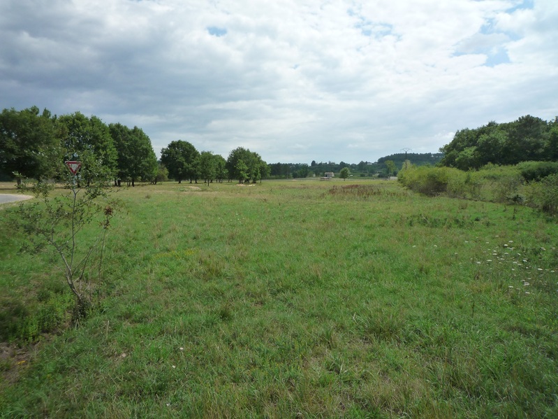 View to the South