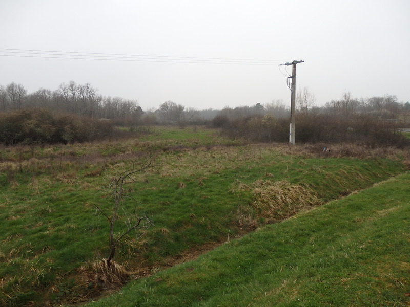 The Confluence from 20 m distance