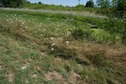 #5: The confluence point lies on the edge of a farm field, next to a narrow paved road