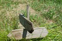 #7: A close-up of the wooden sign that marks the point