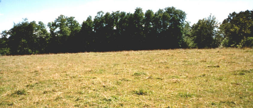 view south