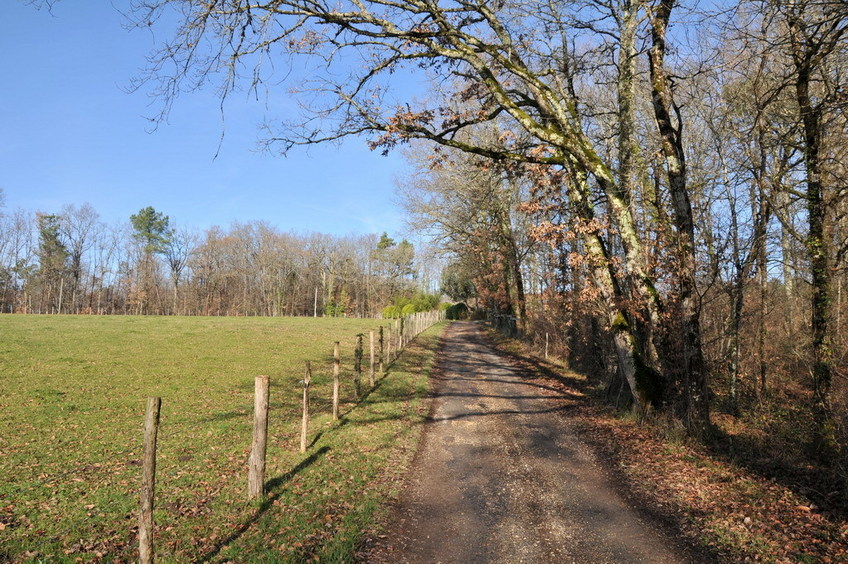 View east / Blick nach Osten