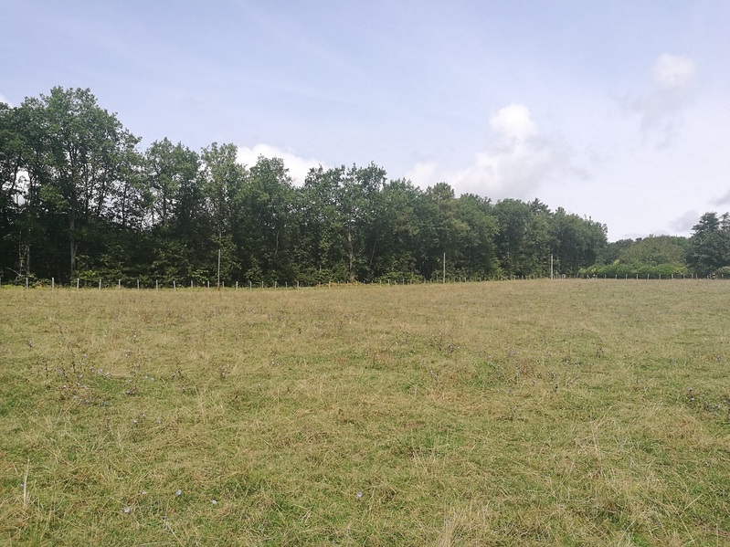 View of spot looking North