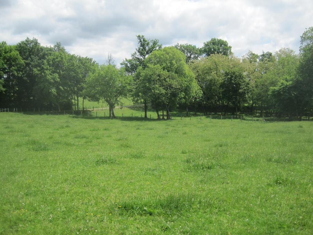 Osten; view east