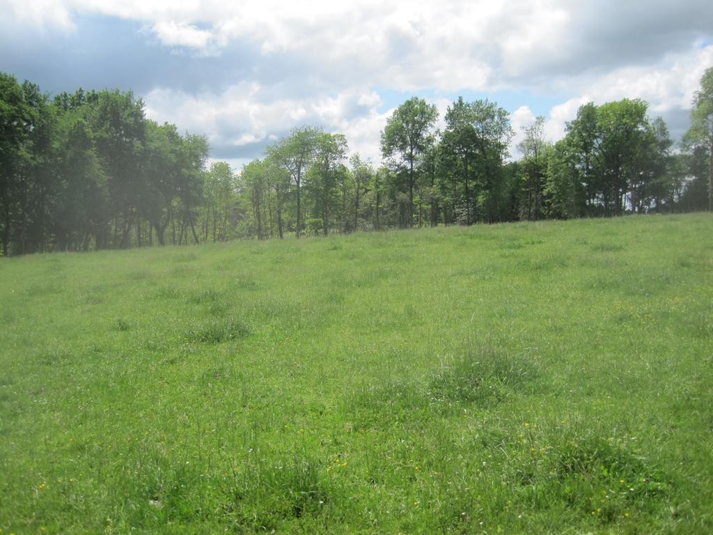 Süden; view south
