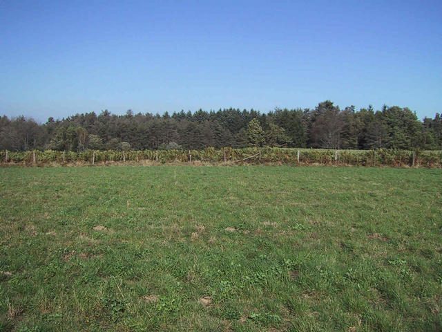 View to the North