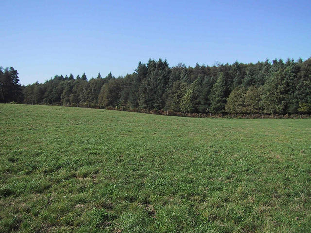 View to the West