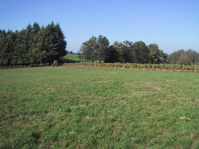View to the Northwest
