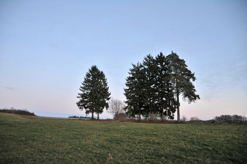 View south / Blick nach Süden