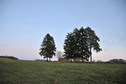 #4: View south / Blick nach Süden