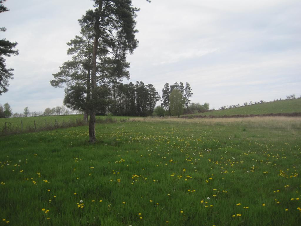 Norden; view north