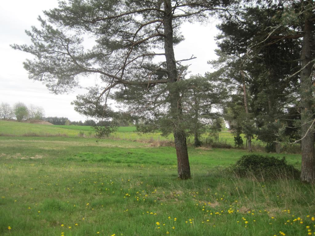Osten; view east