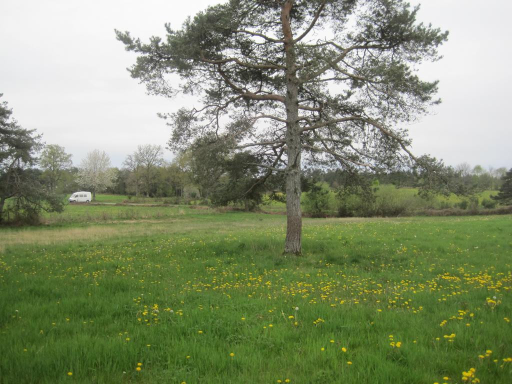 Süden; view south