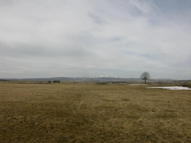 View north / Blick nach Norden