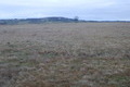 Visit #7: [30-Nov-14]