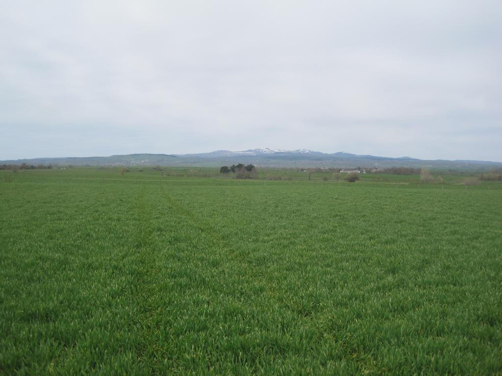 Westen; view west