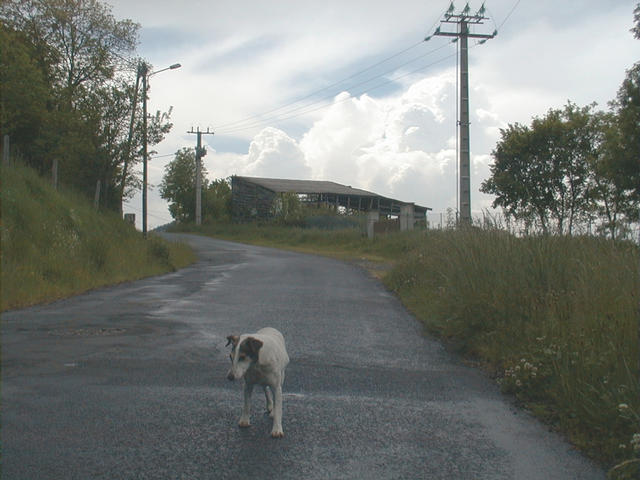 View to the West with a local inhabitant checking what we are doing.