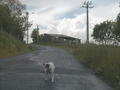 #4: View to the West with a local inhabitant checking what we are doing.