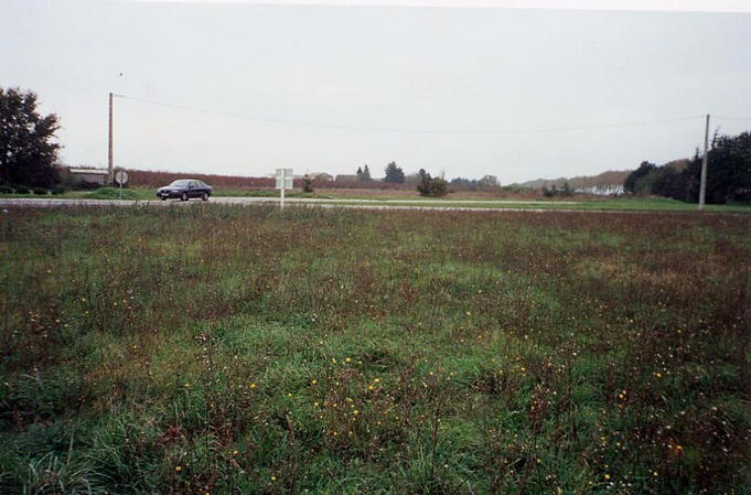 Eastward view from confluence