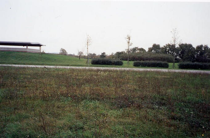 Northward view from confluence