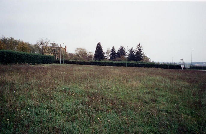 Westward view from confluence