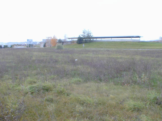 View to the  North West showing the actual confluence (white mark)