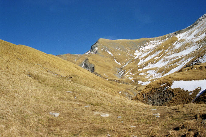 View of the the point area from the cabin